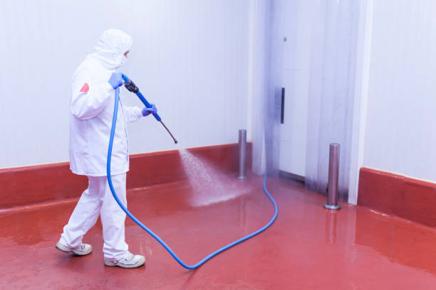 Best Sidewalk and Walkway Cleaning  in Calhoun City, MS